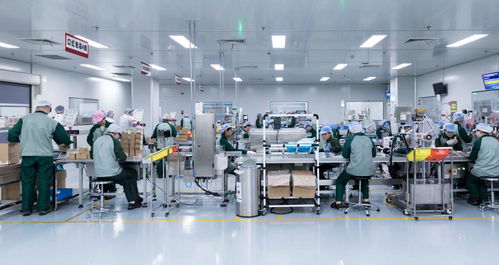 月产近7000万支 代工厂营收增长超三成背后的产业逻辑与消费趋势