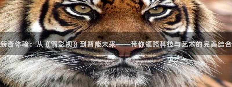 桔子动画搞笑视频：新奇体验：从《箭影视》到智能未来——带你领略科技与艺术的完美结合