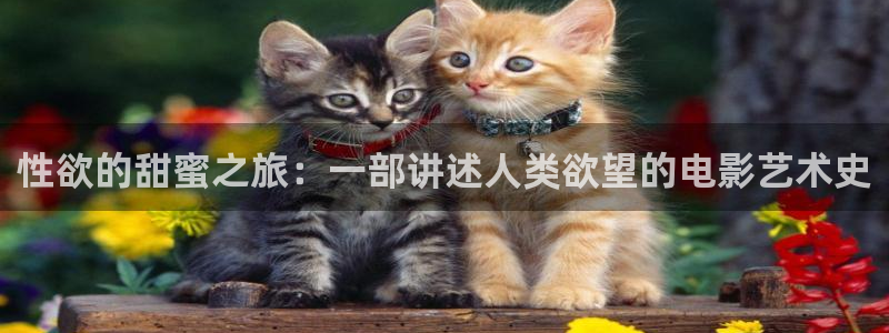 www.桔子视频：性欲的甜蜜之旅：一部讲述人类欲望的电影艺术史
