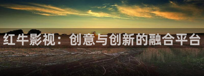 桔子视频在线免费观看：红牛影视：创意与创新的融合平台
