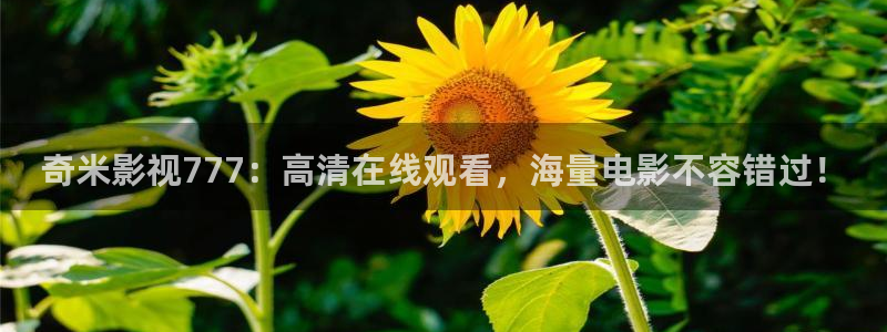 国产桔子视频：奇米影视777：高清在线观看，海量电影不容错过！