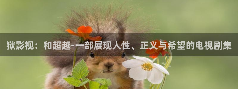 桔子影院午夜场：狱影视：和超越-一部展现人性、正义与希望的电视剧集