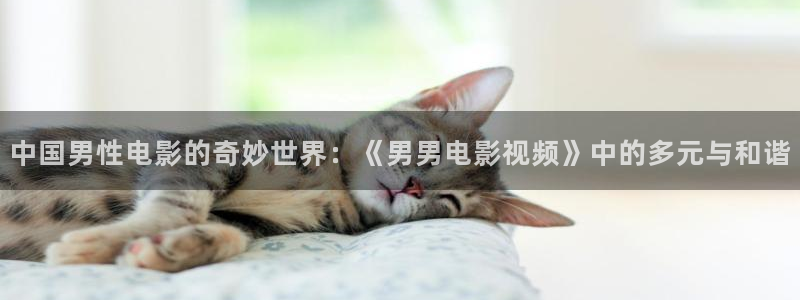 桔子视频3.0：中国男性电影的奇妙世界：《男男电影视频》中的多元与和谐