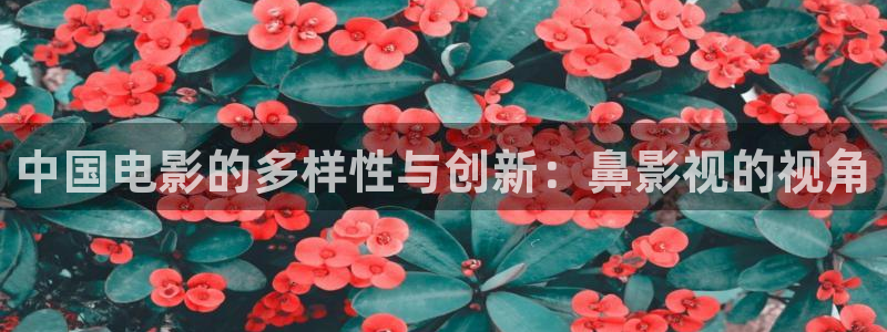 桔子视频网：中国电影的多样性与创新：鼻影视的视角